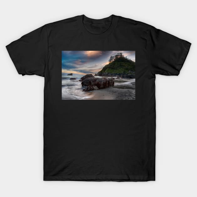 Trinidad Beach T-Shirt by JeffreySchwartz